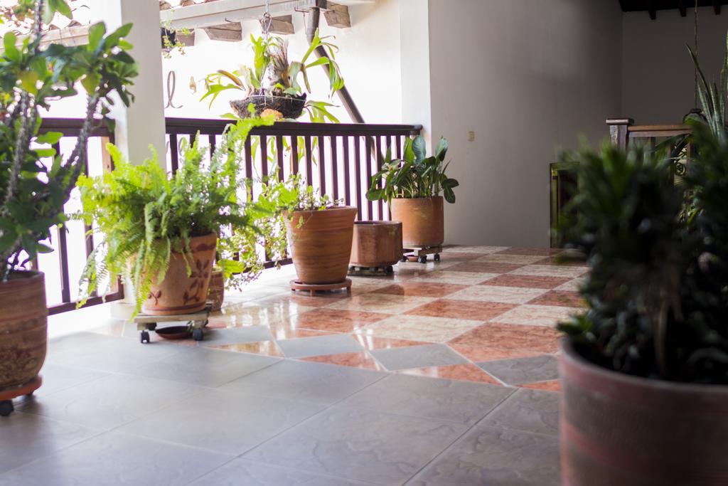 Hotel Nieves